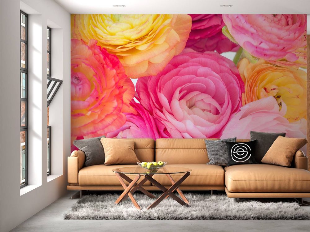 Ranunculus