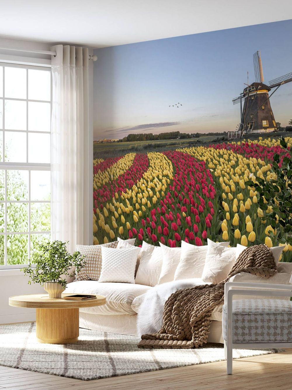 Nederlandse tulpenveld