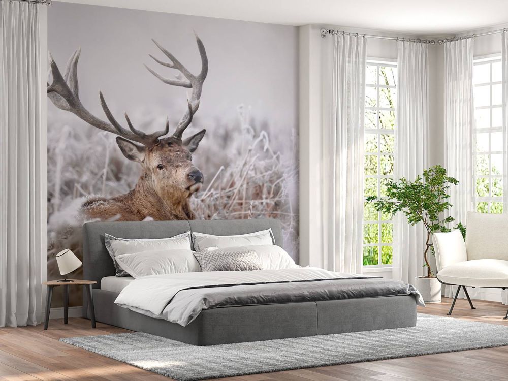 Edelhert's Winterdroom