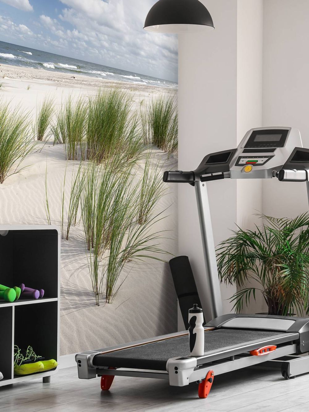 Strand met duinplanten