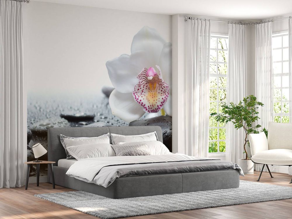 Witte orchidee
