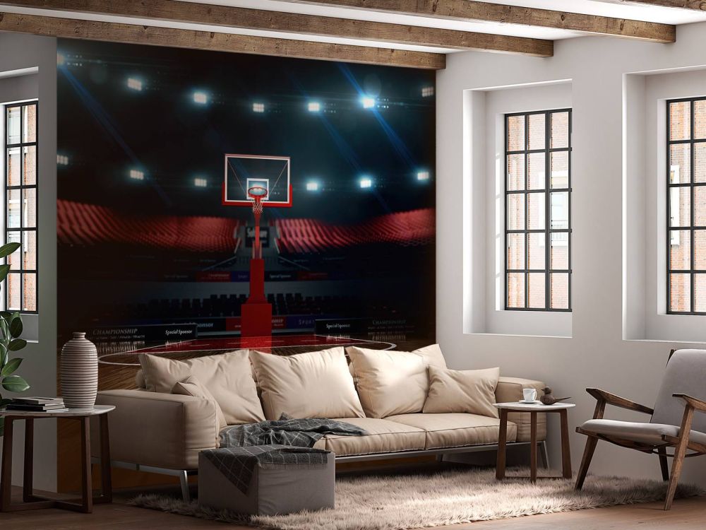 Basketbal arena