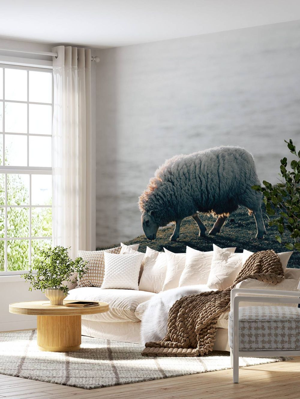 Grazend schaap