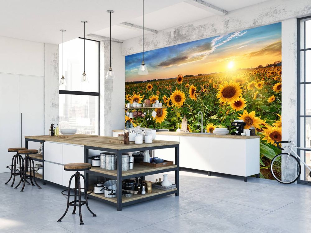 Prachtig veld zonnebloemen
