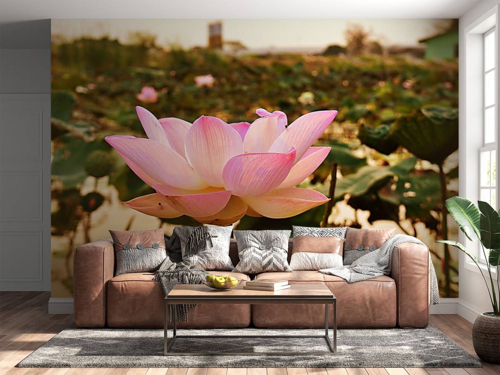 Roze lotusbloem