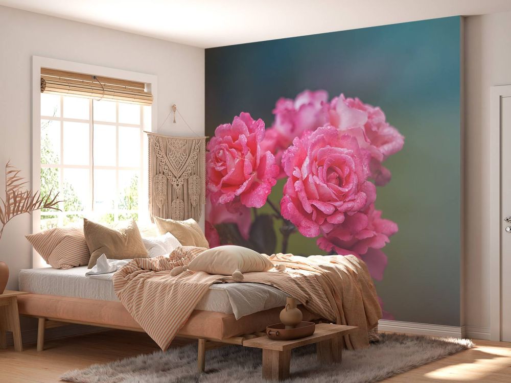 Roze rozentak