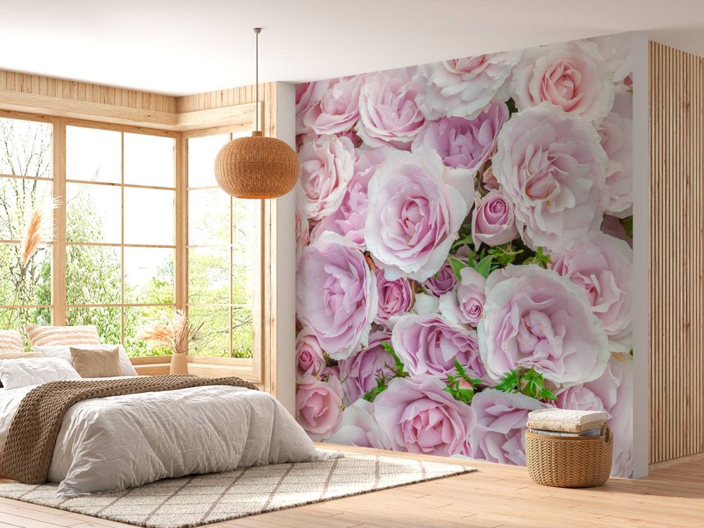 Kleurrijke witte en roze rozen