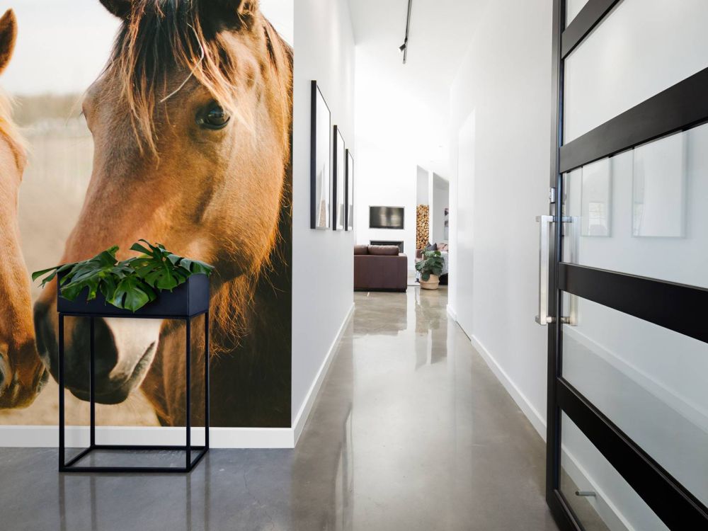Twee paarden