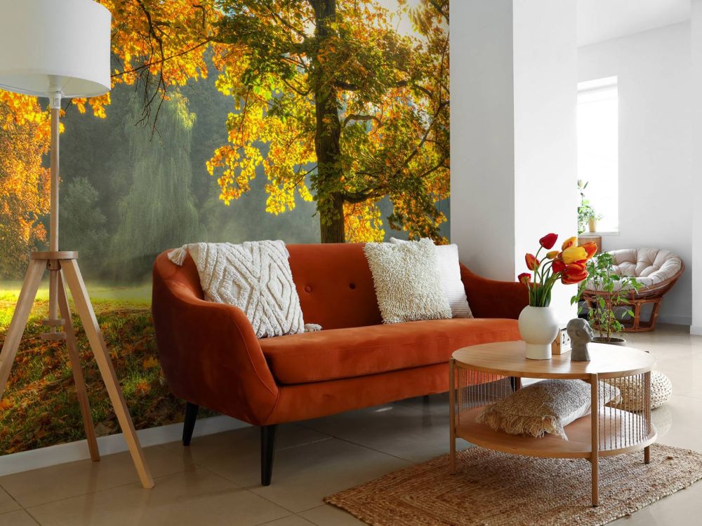 Boom in herfstkleuren
