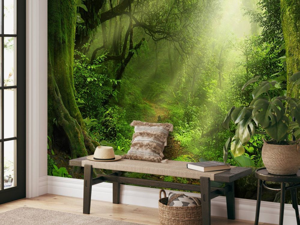 Jungle met zonnestralen