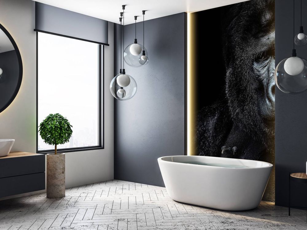 Gorilla