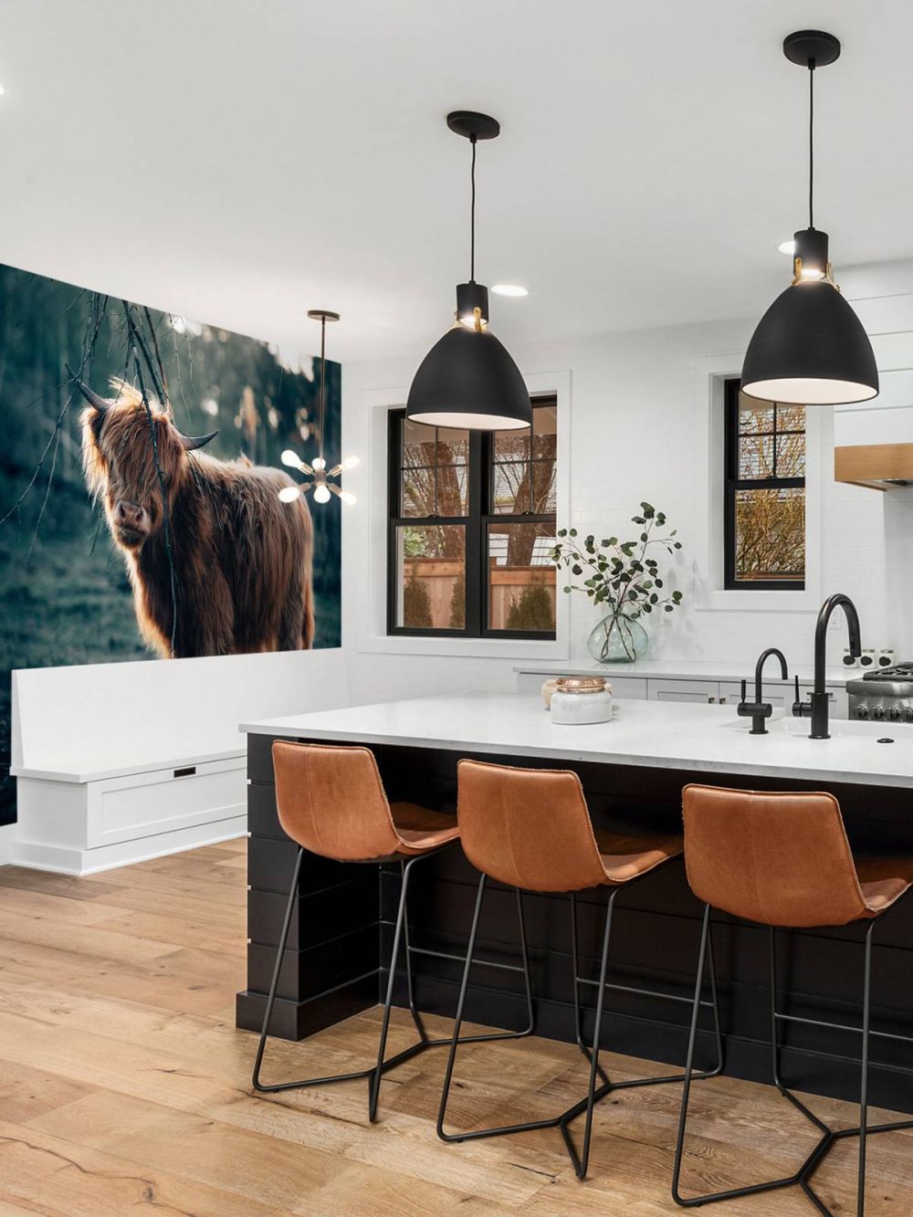 Schotse hooglander aan de bosrand