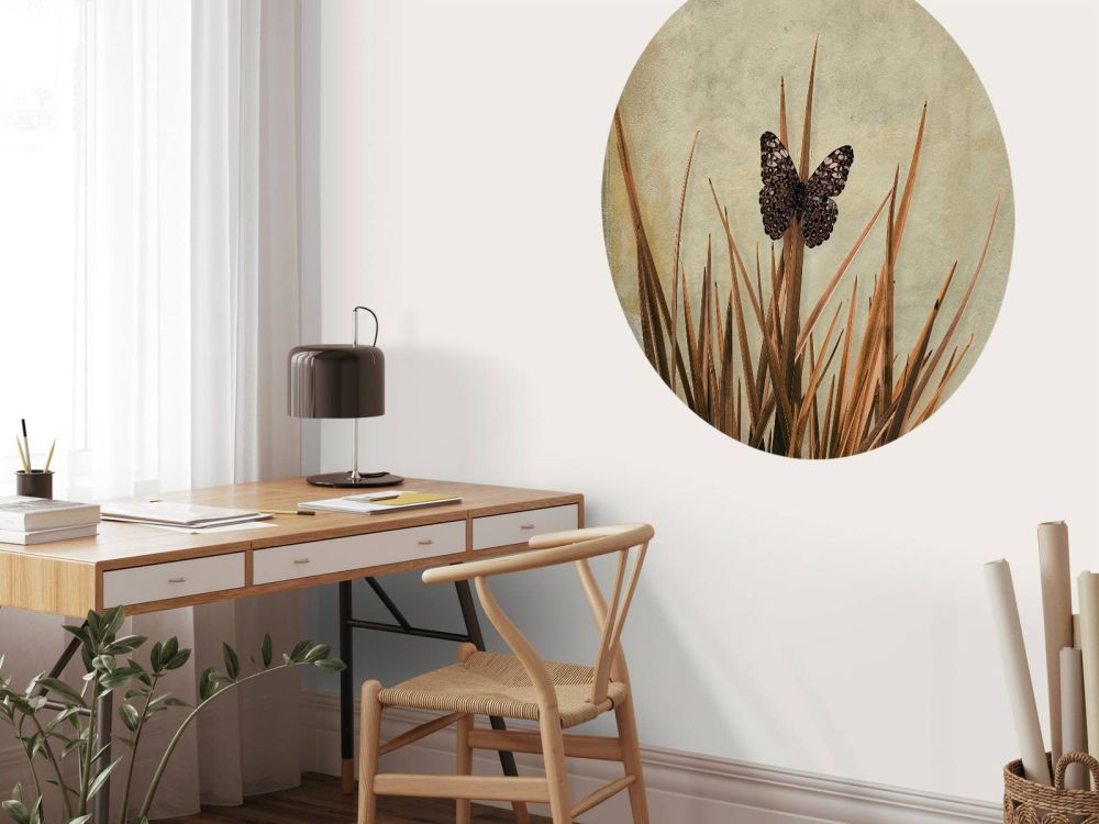 Vlinder bij oude muur