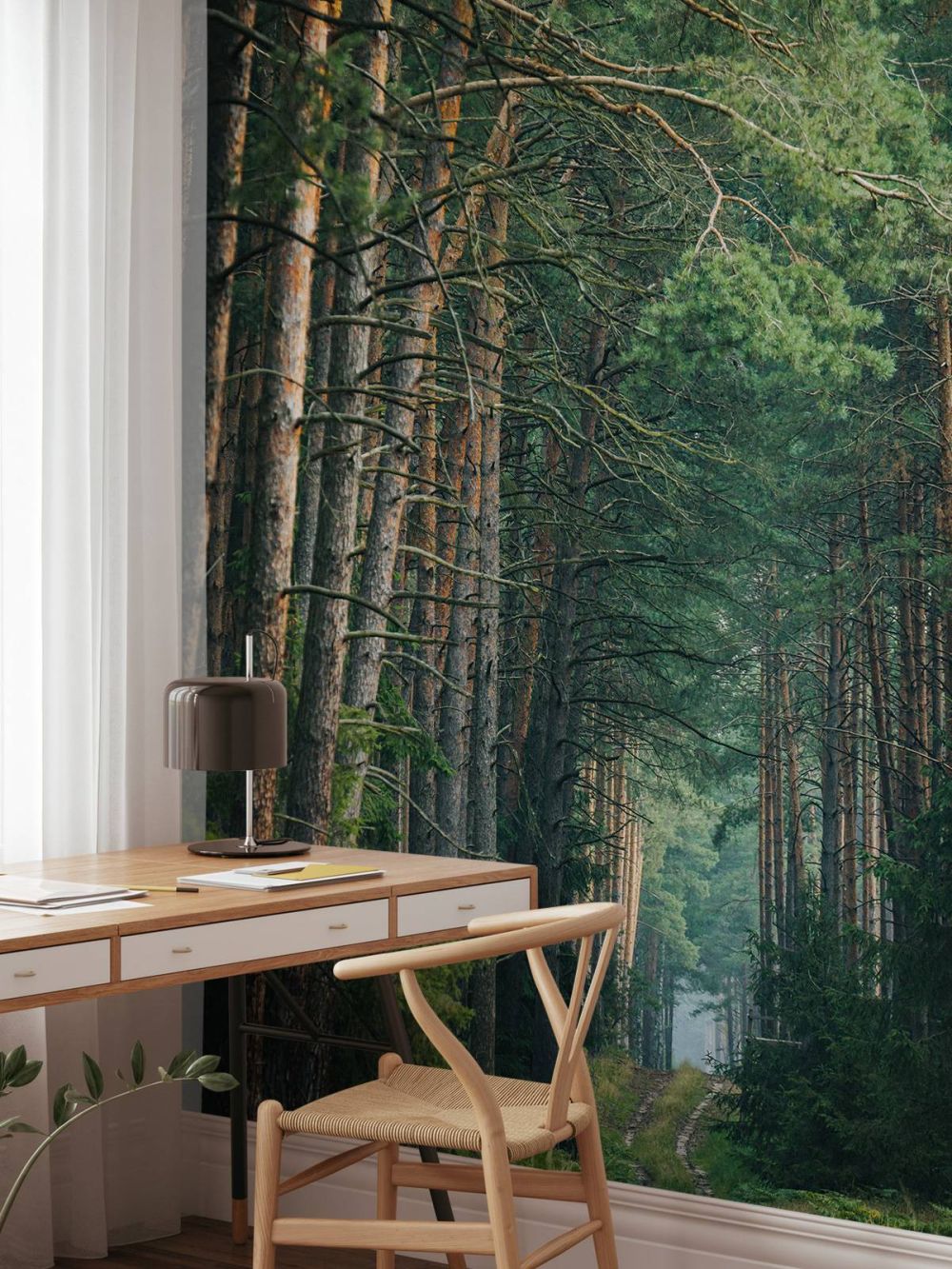 The Forest road 3