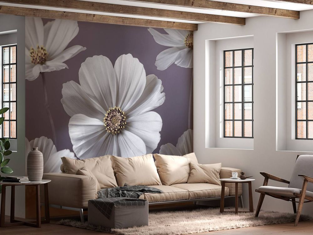 Cosmos bloemen