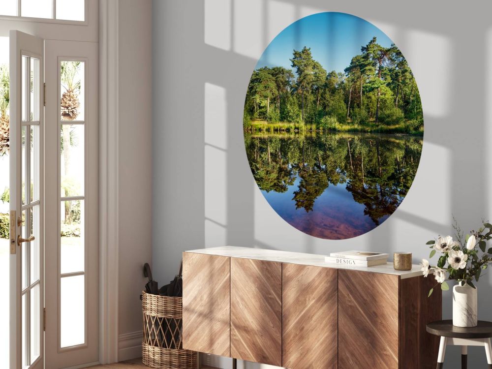 Weerspiegeling in bosven