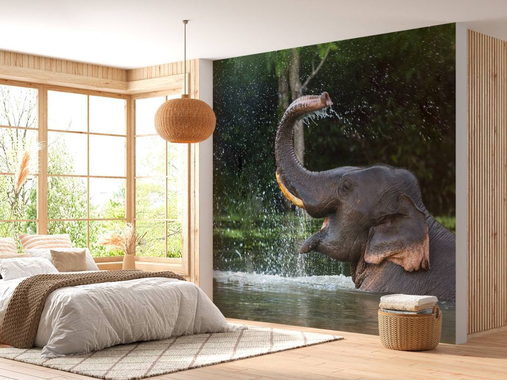 Olifant in water