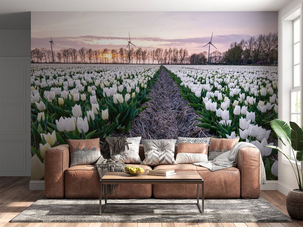 Wit tulpenveld