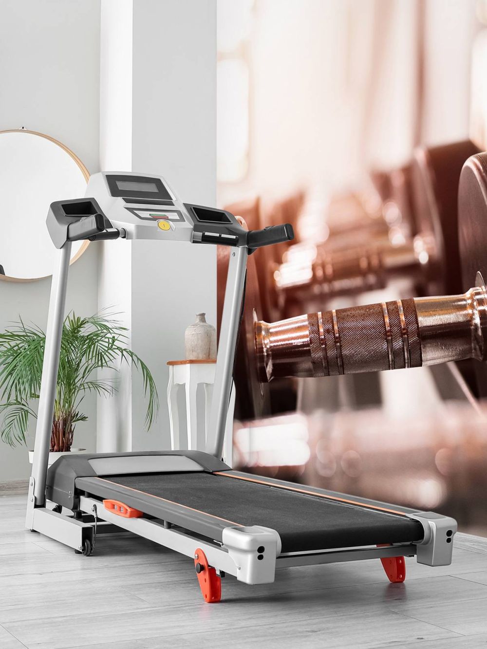 Rij van dumbells