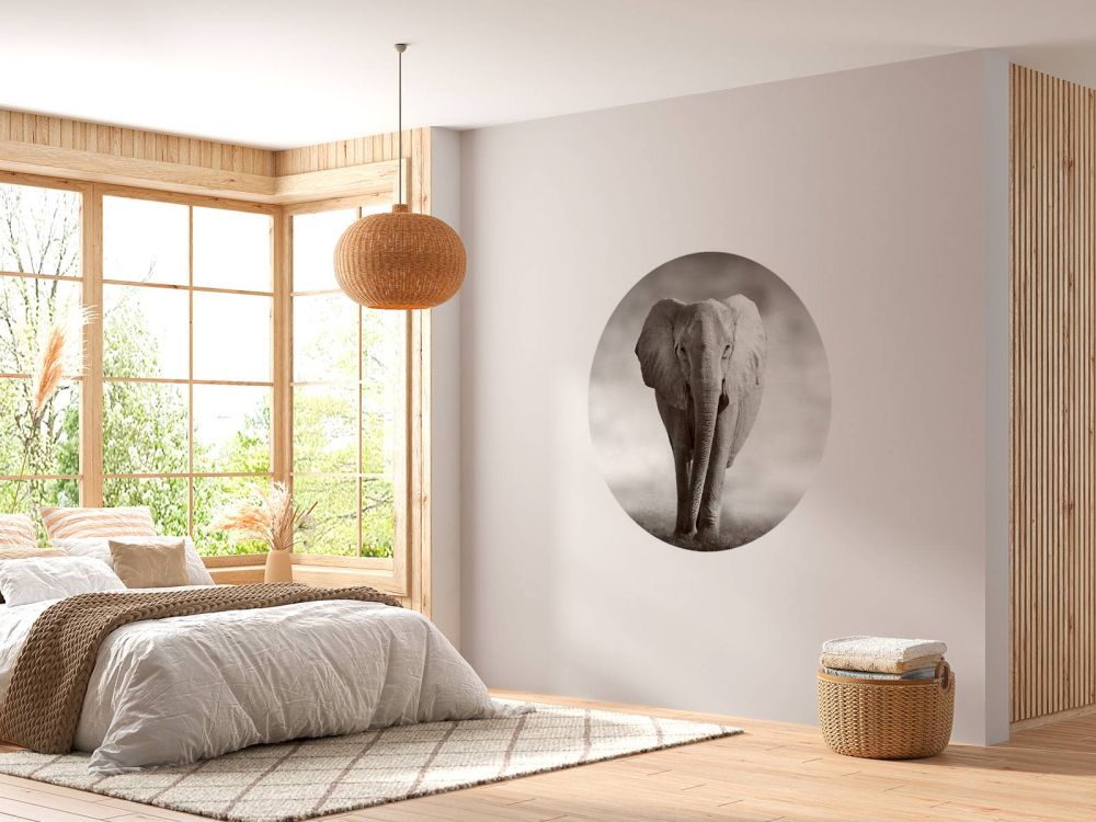 Mooie olifant