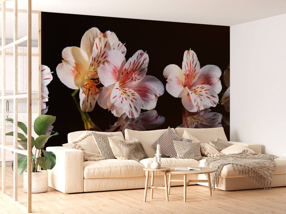 Alstroemeria bloemen met reflectie
