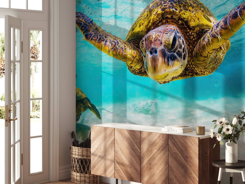 Zeeschildpad in de oceaan