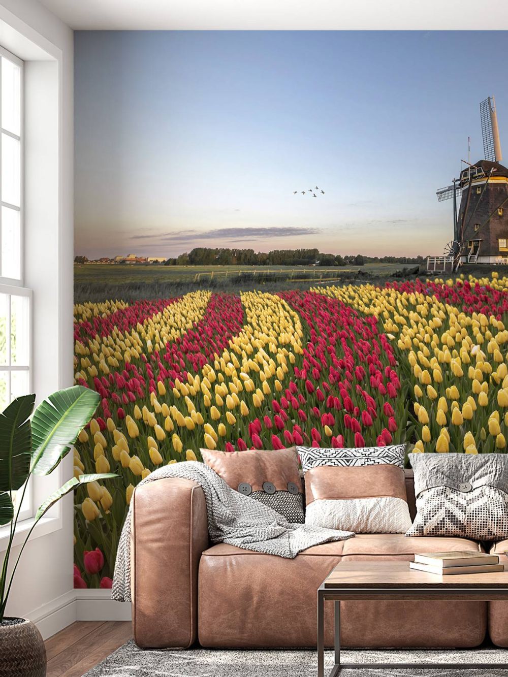 Nederlandse tulpenveld
