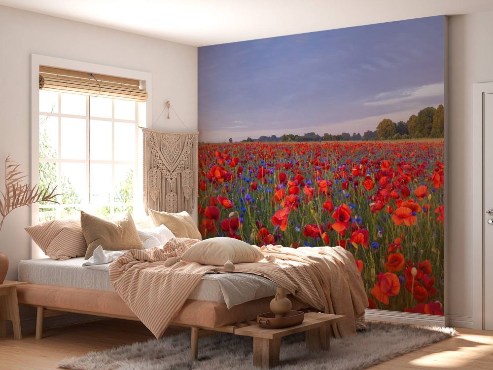 Blauwe bloemen en rode Klaprozen