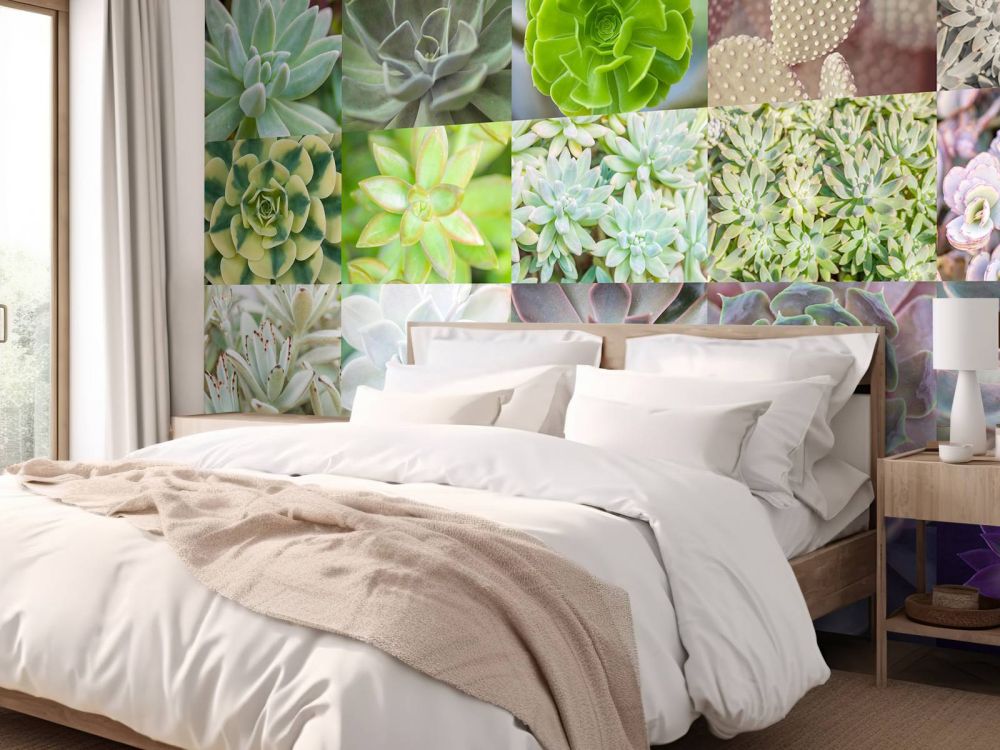 Vetplanten collage