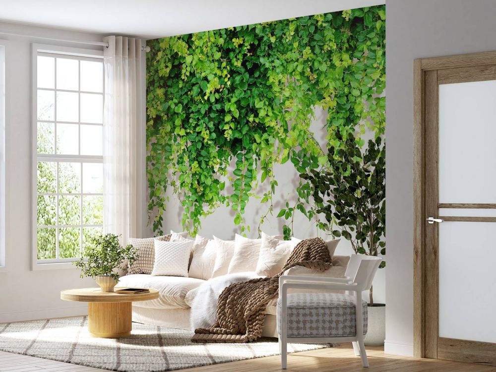 Groene hangende takken