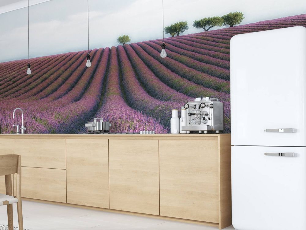 Velours de Lavender