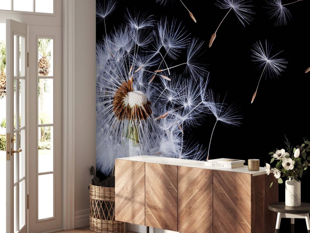Dandelion Blowing