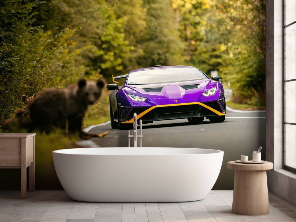 Lamborghini vs. wildernis