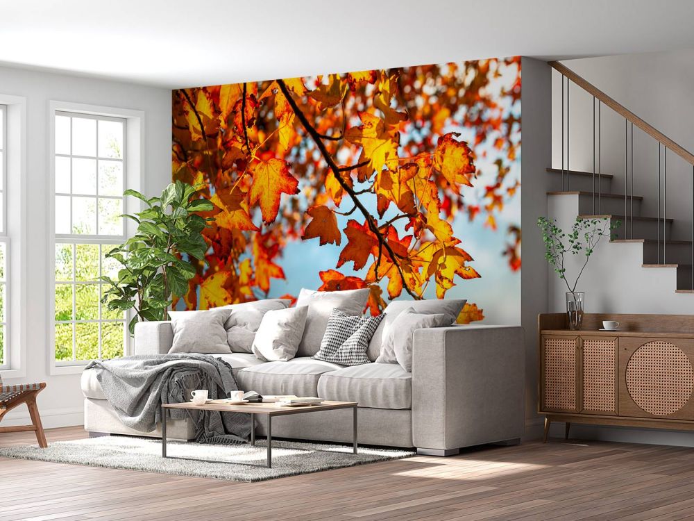 Herfst bladeren