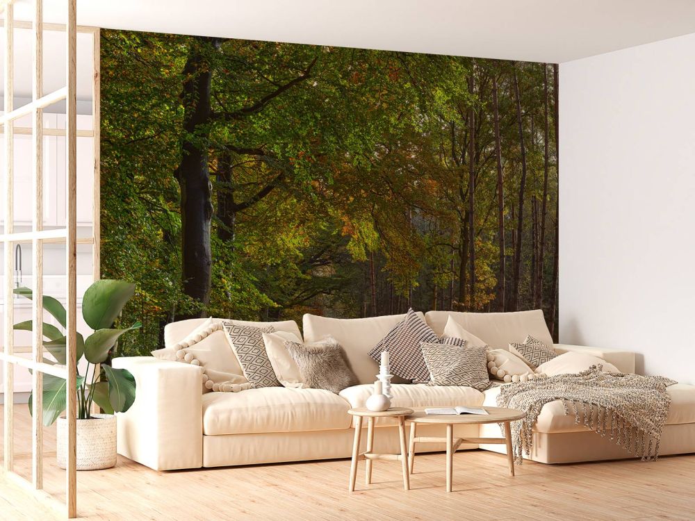 Pad met blaadjes door het bos