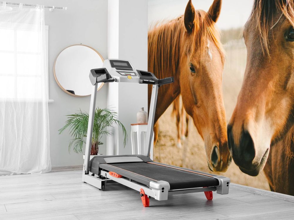 Twee paarden