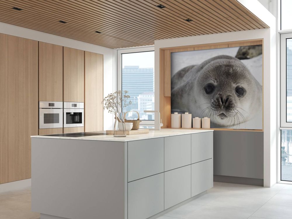 Close-up van een zeehond