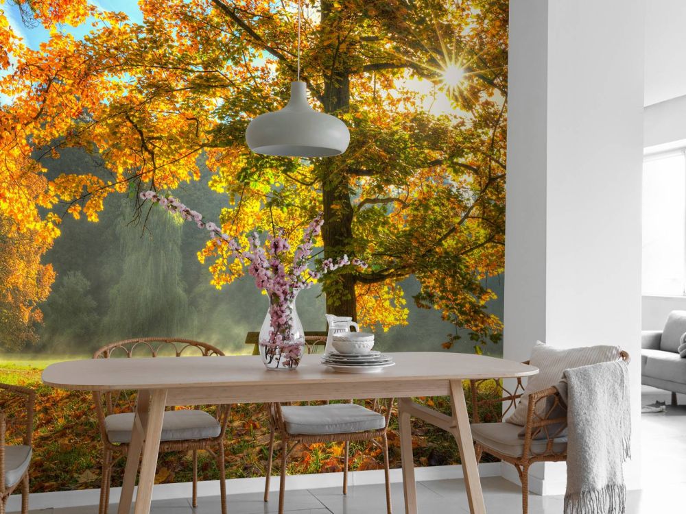 Boom in herfstkleuren