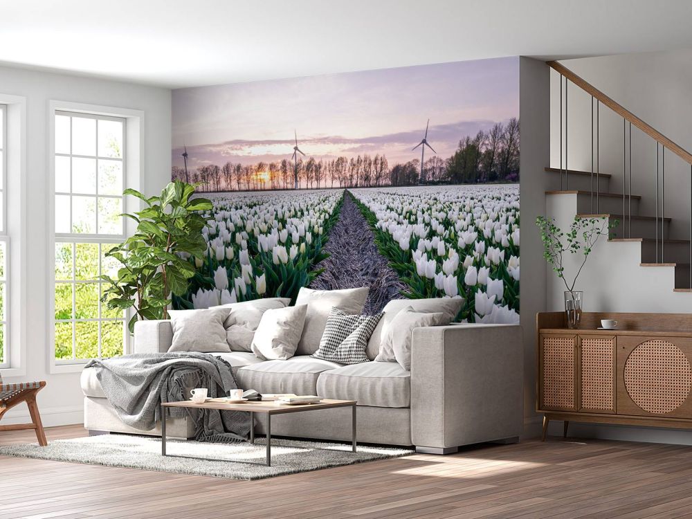 Wit tulpenveld
