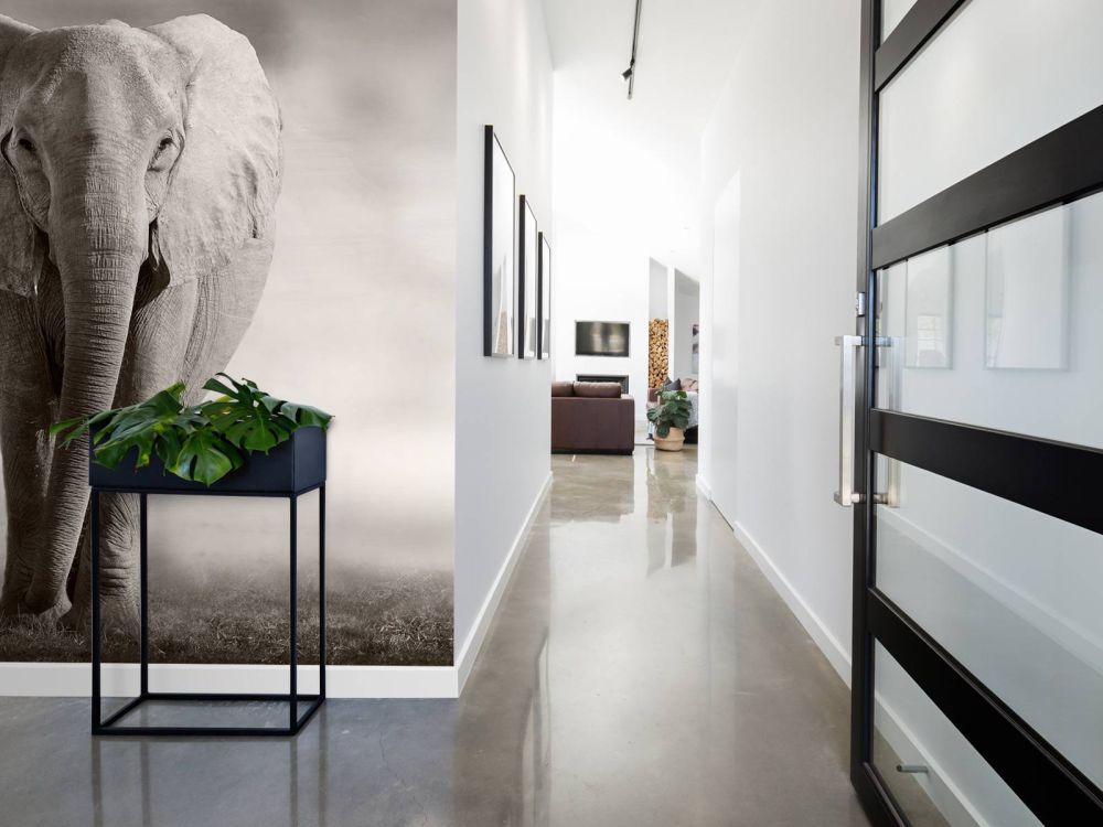 Mooie olifant