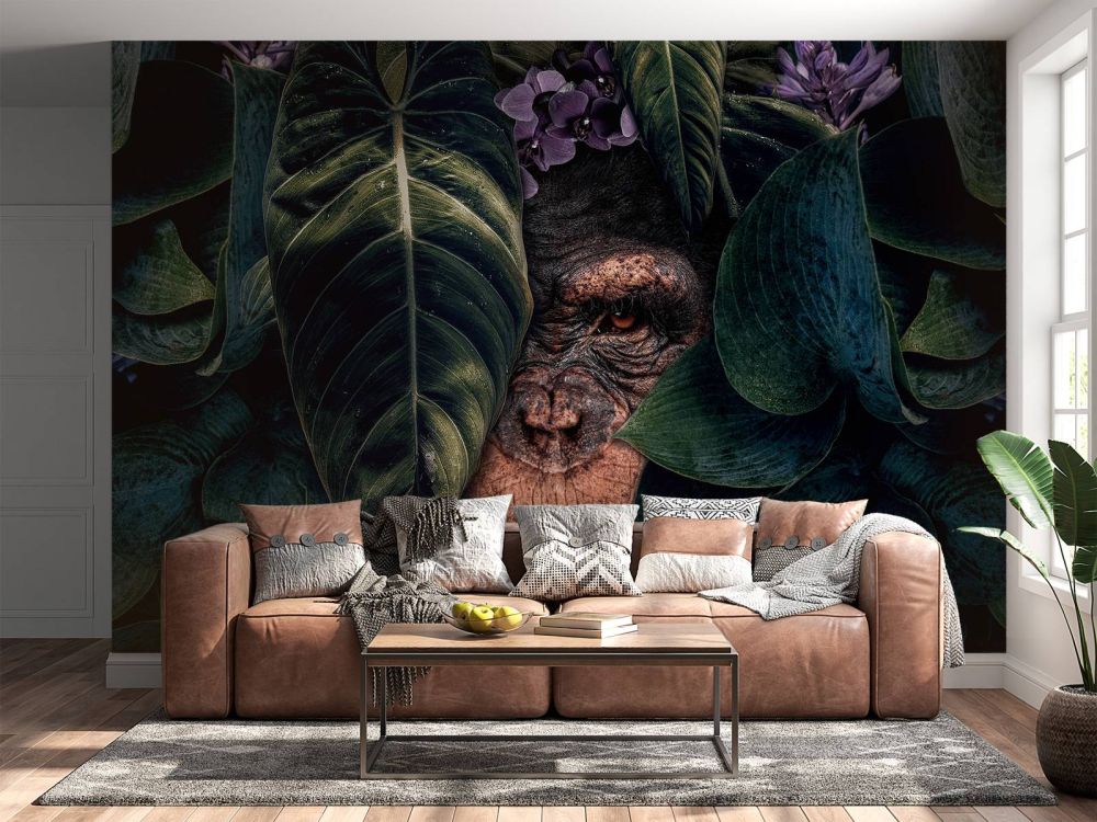 Jungle Chimpanzee