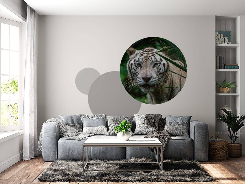Witte tijger