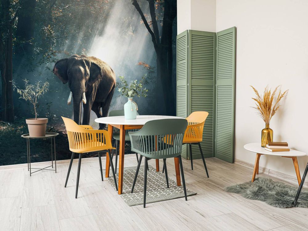 Olifant in een jungle