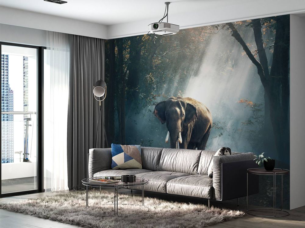Olifant in een jungle