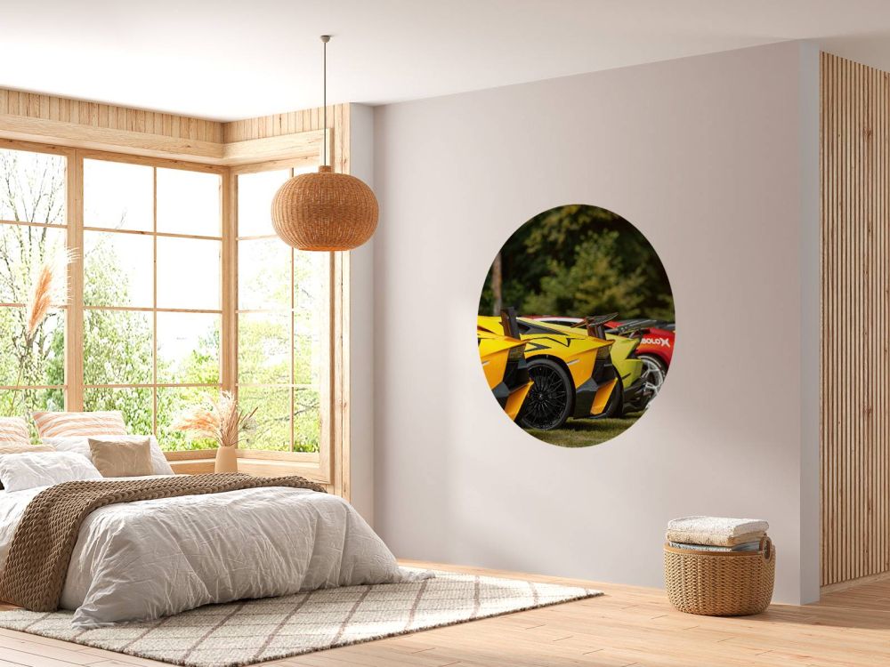 Supercar collectie iIn natuur
