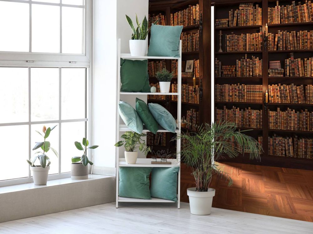 Geheime Bibliotheek met Verborgen Deur