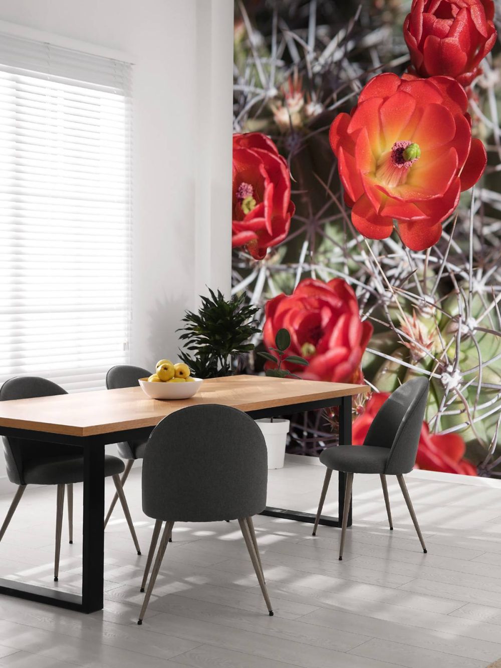 Rode cactus bloemen