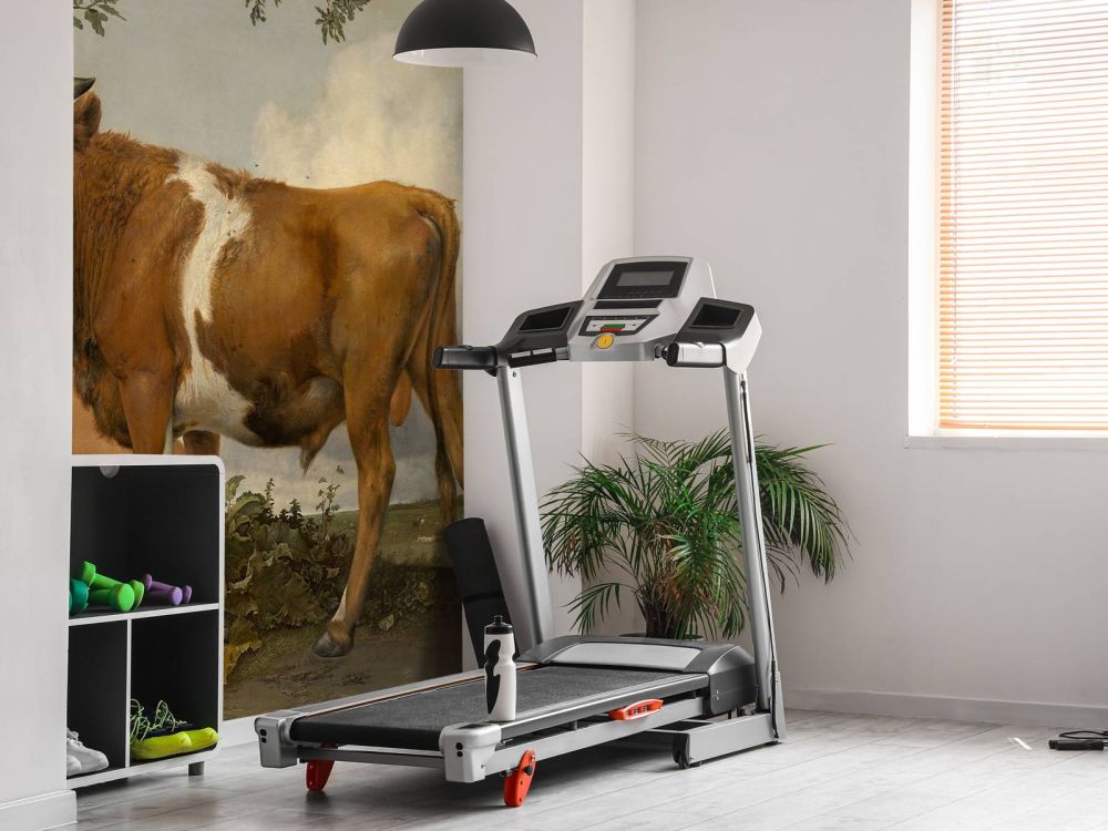 De stier