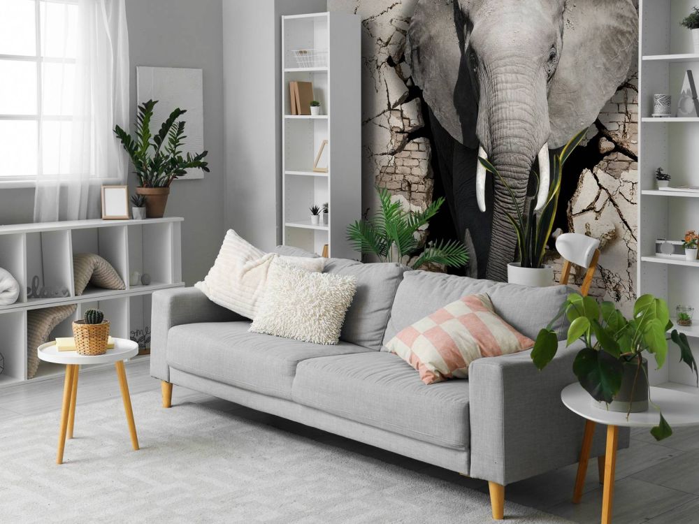 3D Olifant uit de muur