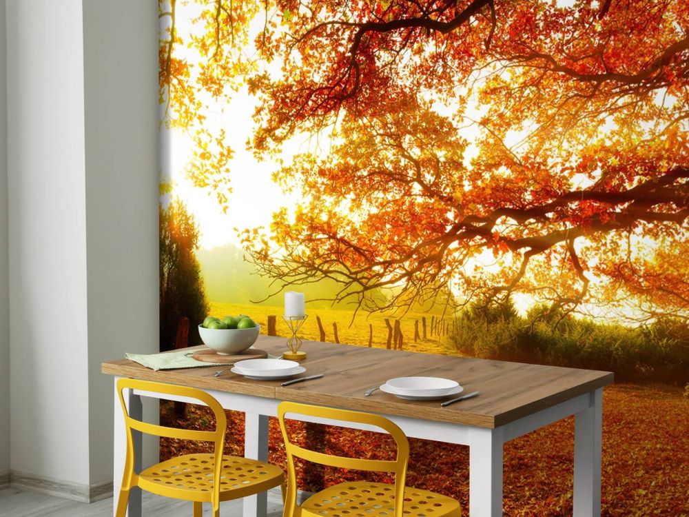 Herfstlandschap met bos en weide